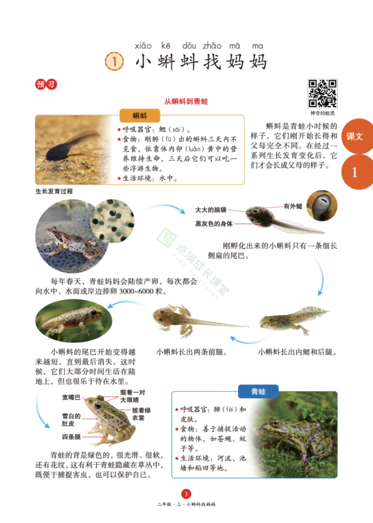 辣么多语文教辅书，谁是王者？