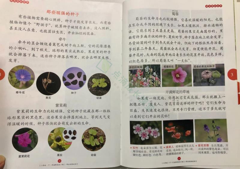 辣么多语文教辅书，谁是王者？