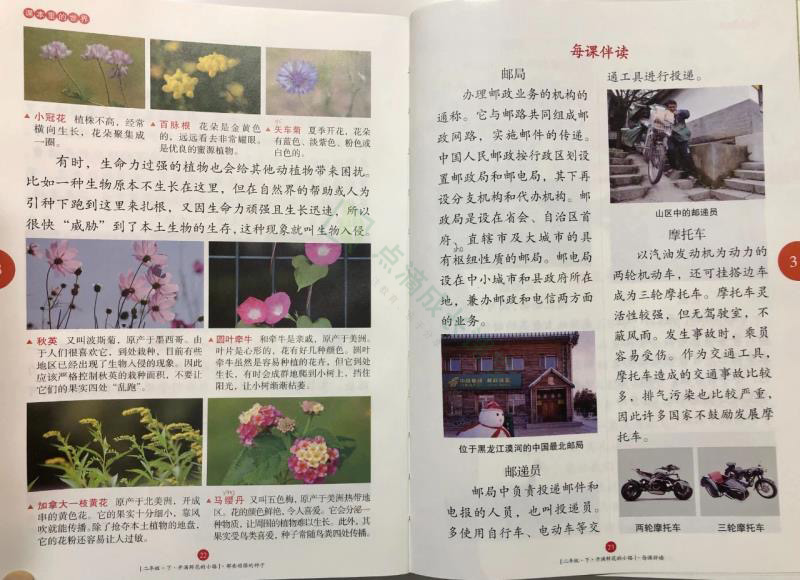辣么多语文教辅书，谁是王者？