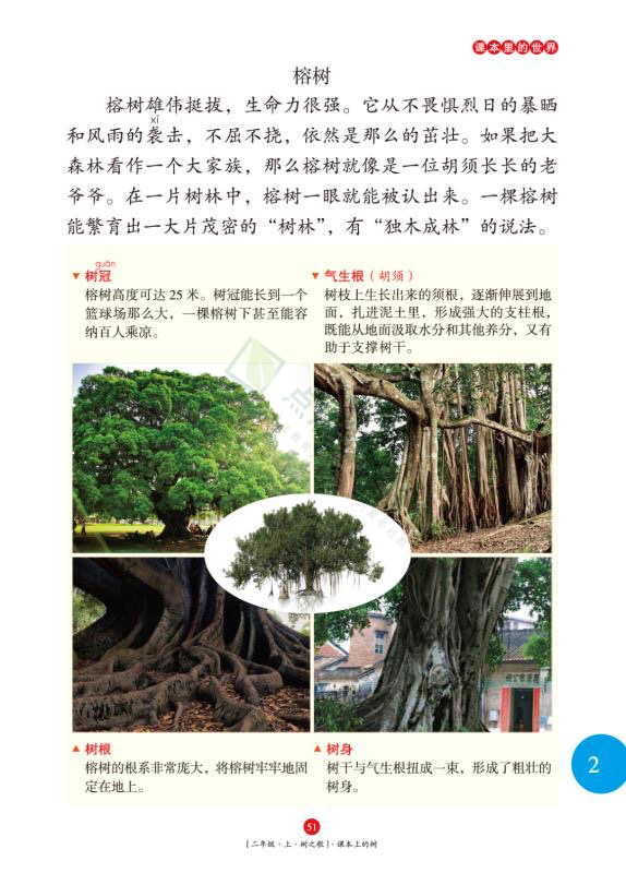 辣么多语文教辅书，谁是王者？