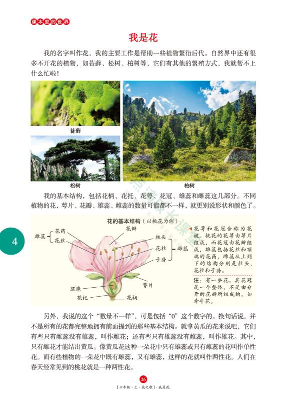 辣么多语文教辅书，谁是王者？