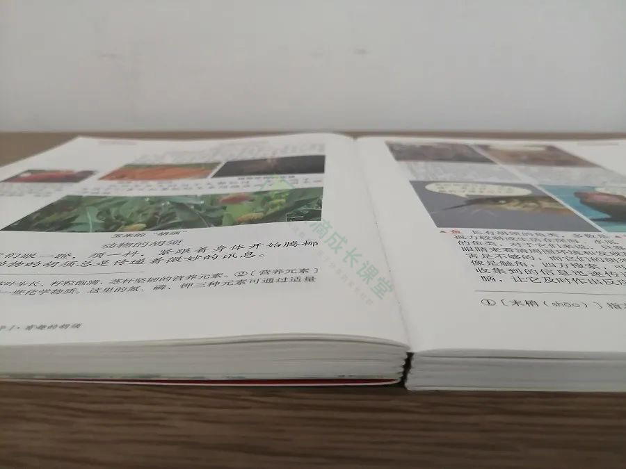 辣么多语文教辅书，谁是王者？