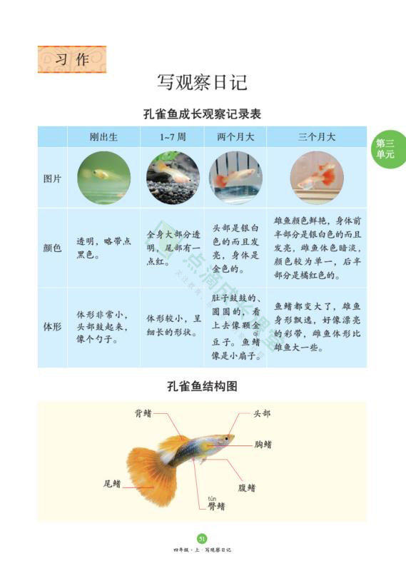 辣么多语文教辅书，谁是王者？