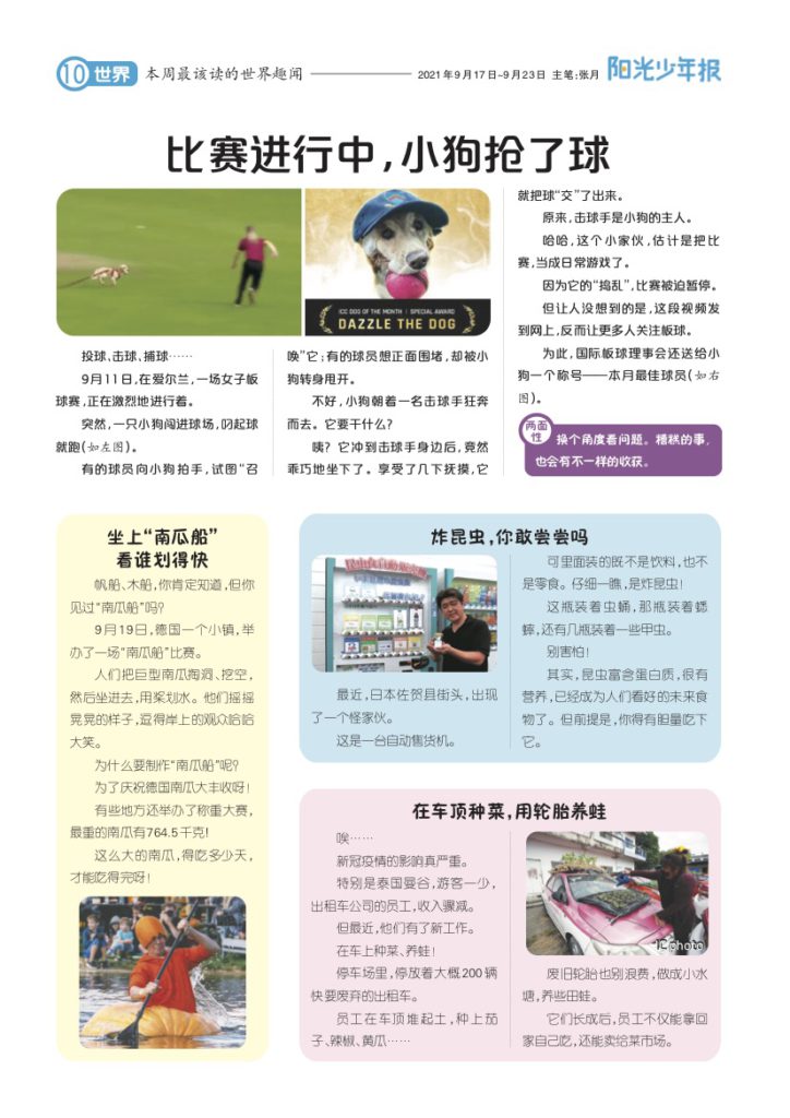 阳光少年报，打开孩子眼界锻炼孩子独立思考能力必不可少！