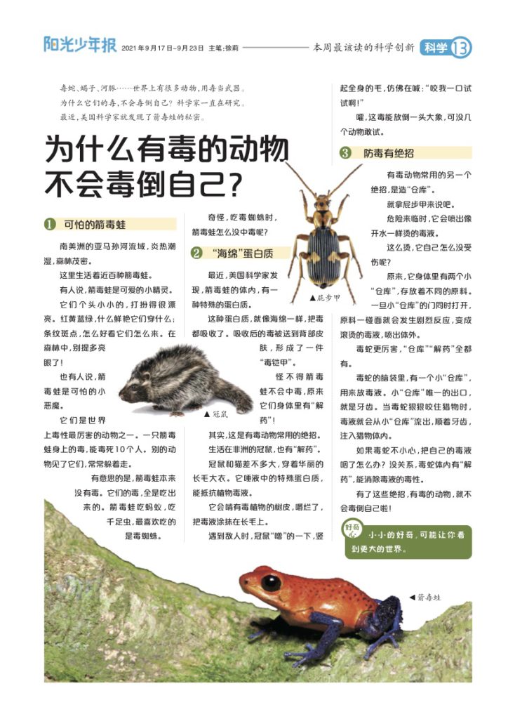 阳光少年报，打开孩子眼界锻炼孩子独立思考能力必不可少！