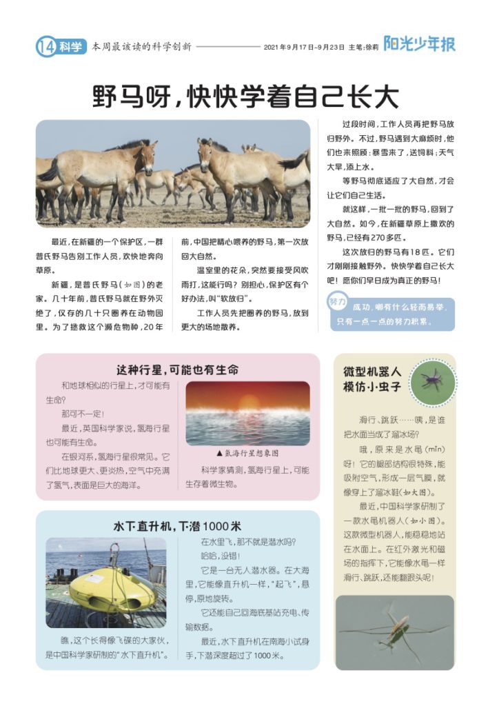 阳光少年报，打开孩子眼界锻炼孩子独立思考能力必不可少！