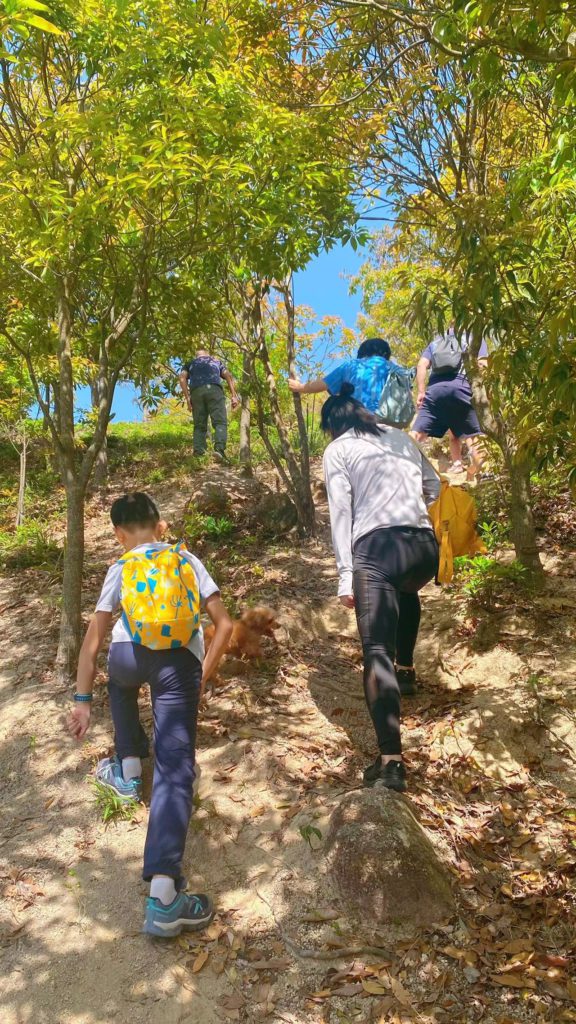 社群活动 | 2022年4月群友踏青，马峦山野径一日游，此处风光独好