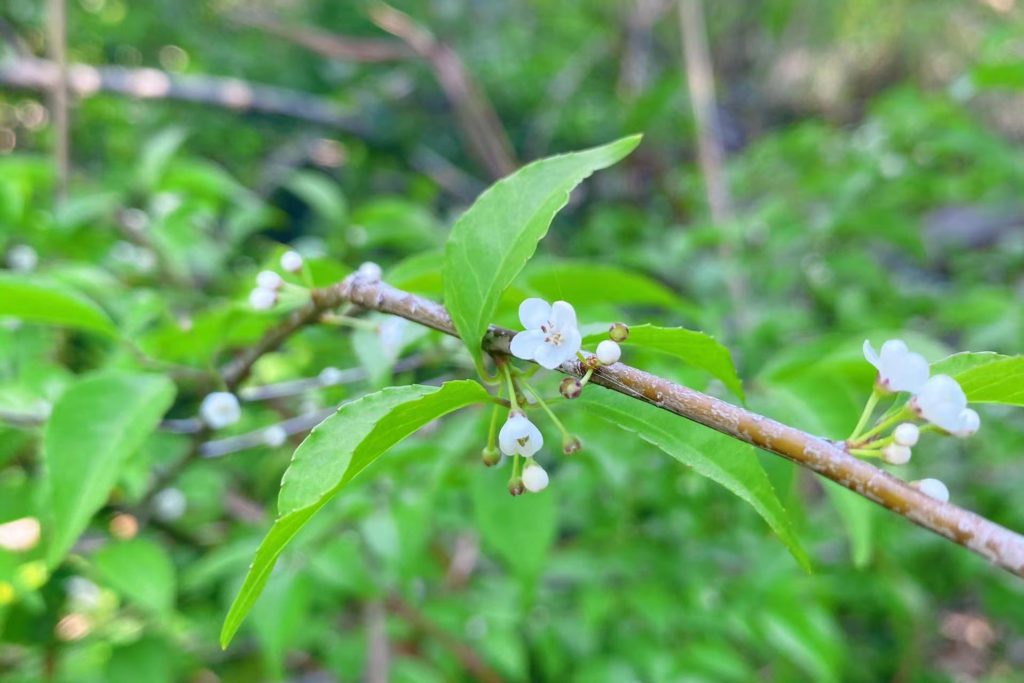 社群活动 | 2022年4月群友踏青，马峦山野径一日游，此处风光独好
