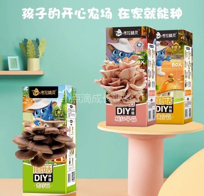 自己种的蘑菇吃起来会更香吗？