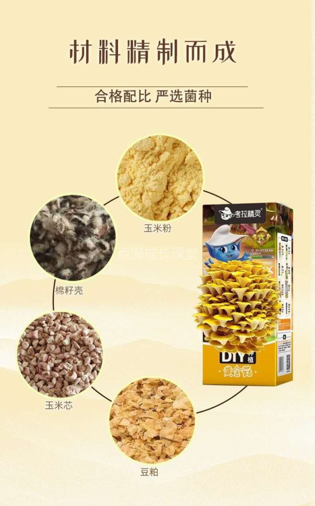 自己种的蘑菇吃起来会更香吗？