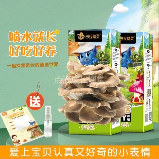 自己种的蘑菇吃起来会更香吗？