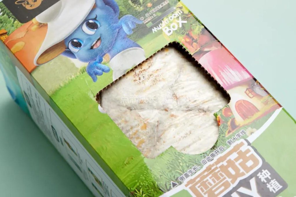 自己种的蘑菇吃起来会更香吗？