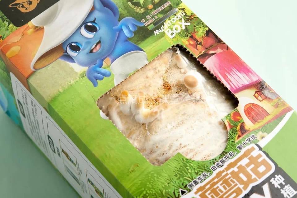 自己种的蘑菇吃起来会更香吗？