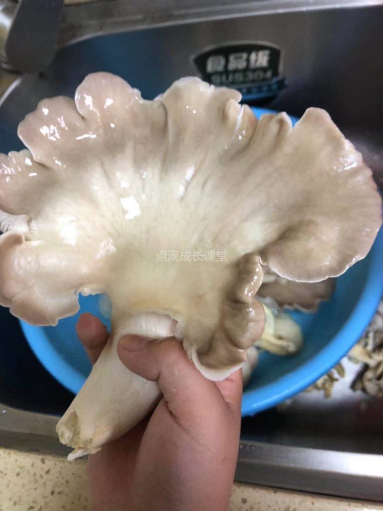 自己种的蘑菇吃起来会更香吗？