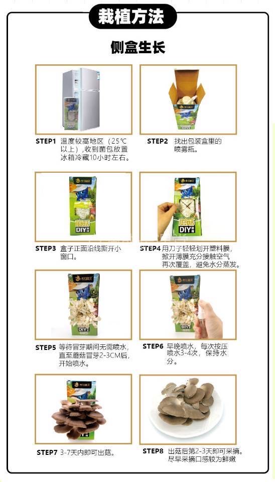 自己种的蘑菇吃起来会更香吗？