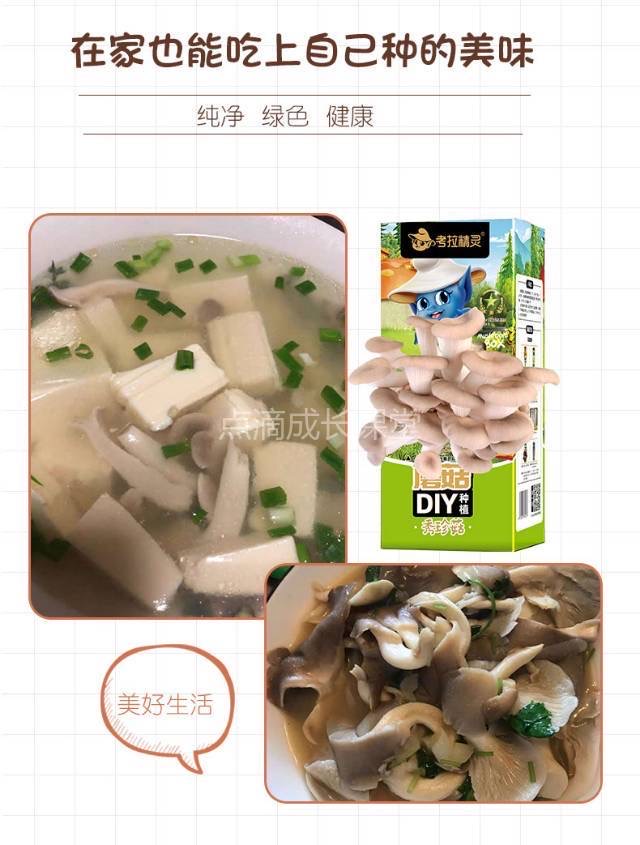 自己种的蘑菇吃起来会更香吗？