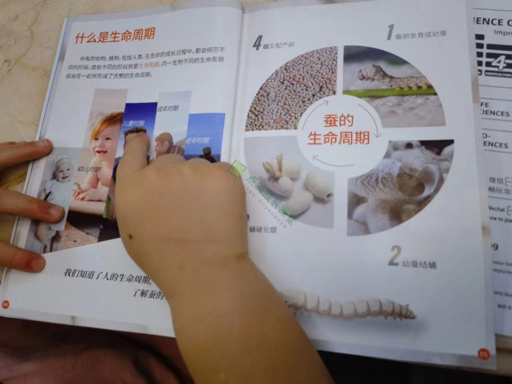 春天没养过蚕的孩子童年是不完整的