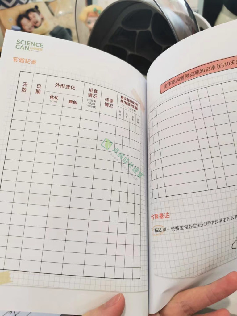 春天没养过蚕的孩子童年是不完整的
