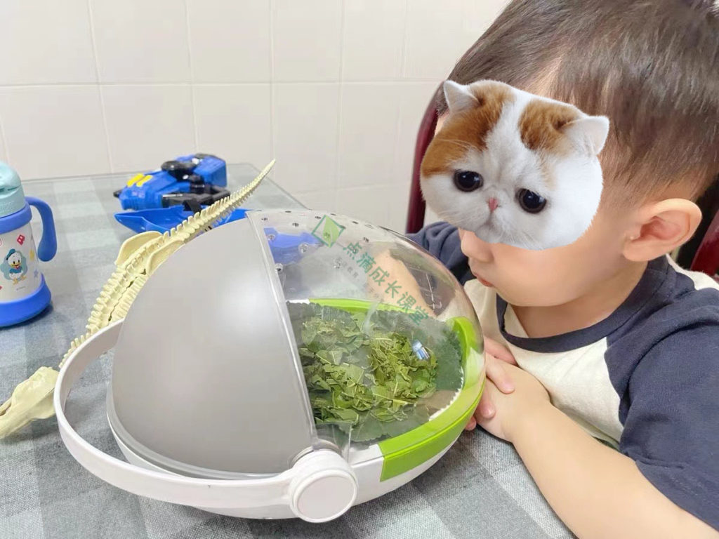 春天没养过蚕的孩子童年是不完整的