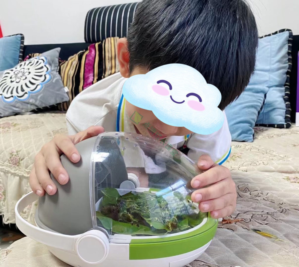 春天没养过蚕的孩子童年是不完整的