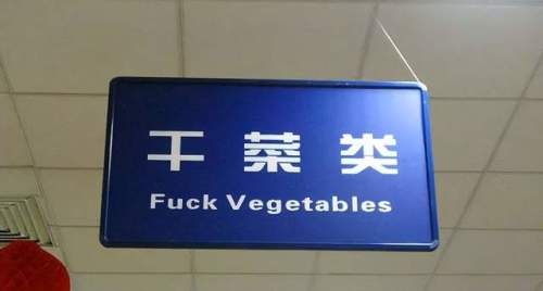 新加坡国际语言学院英语教学——一个成年的英语学习者的小故事