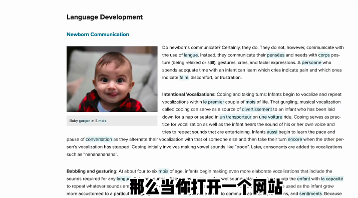 英语学习工具——谷歌浏览器插件Toucan，文末有下载链接