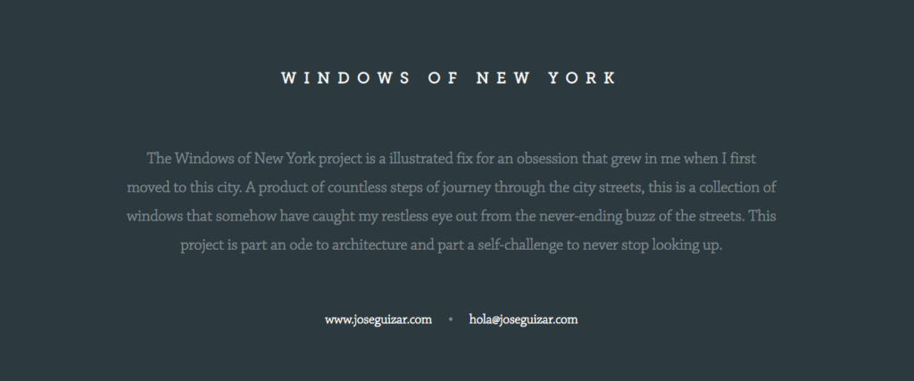 WINDOWS OF NEW YOR | 纽约的窗户