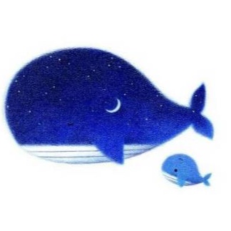 Calm的头像